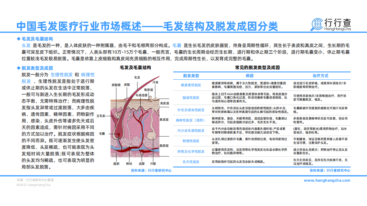 行行查：2021年中国毛发医疗行业研究报告.pdf 第5页