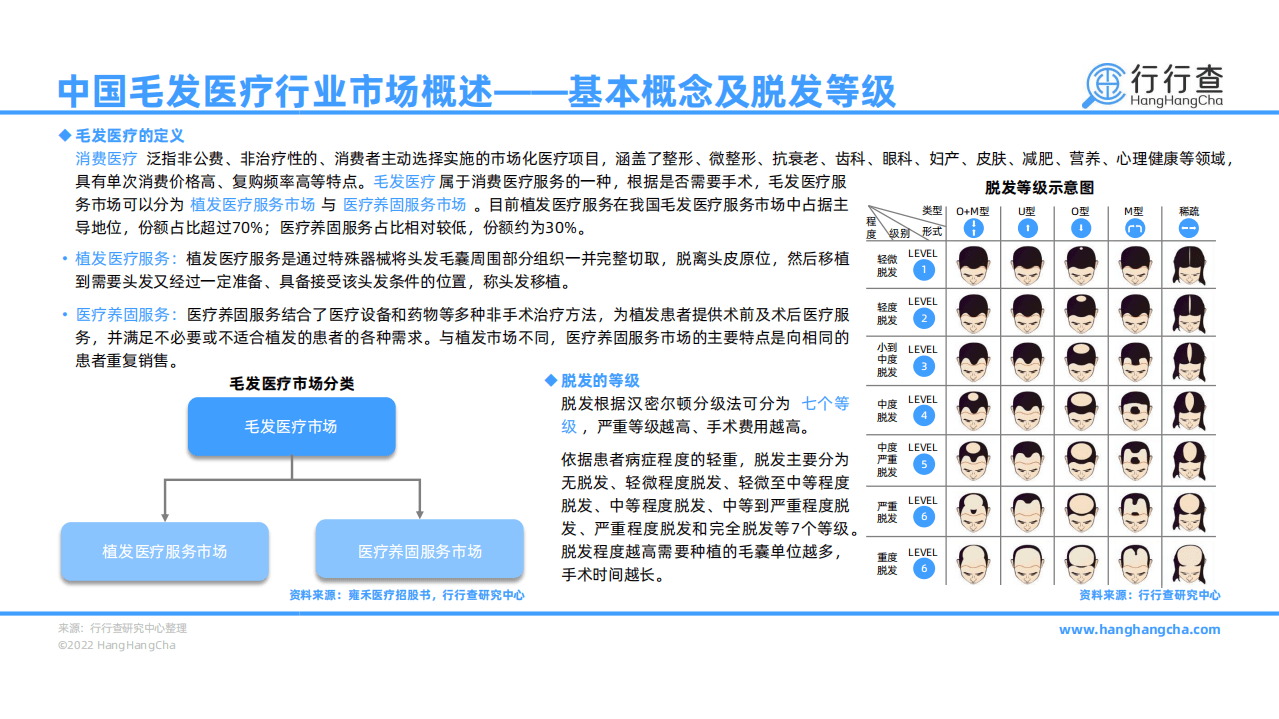 行行查：2021年中国毛发医疗行业研究报告.pdf 第4页