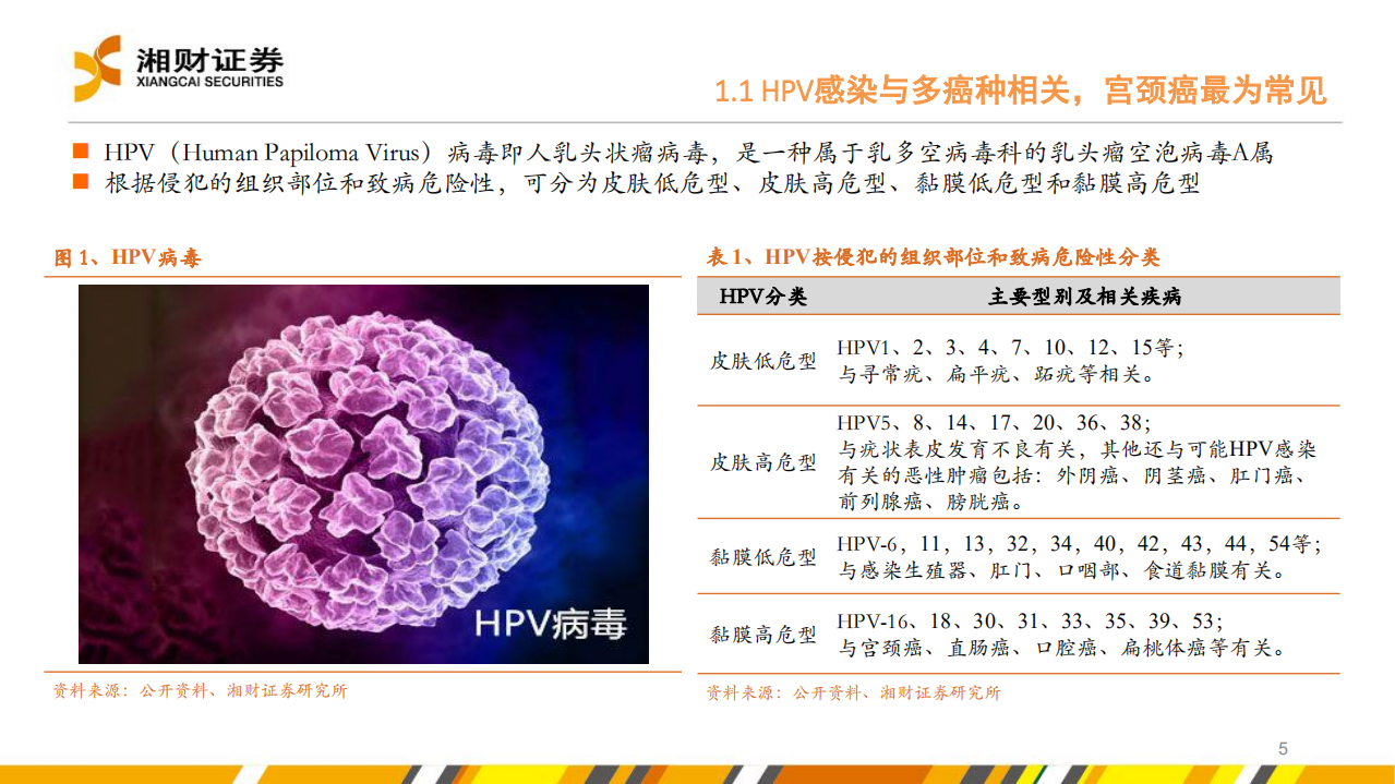 HPV疫苗行业：政策促渗透率提升，HPV疫苗市场有望迎来快速增长-220531.pdf 第5页