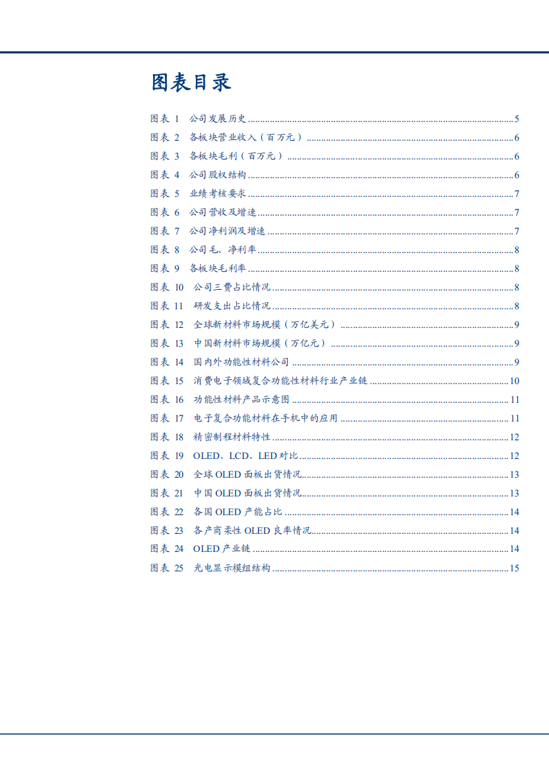 2021年新材料行业前景与世华科技公司业务布局分析报告.pdf 第2页