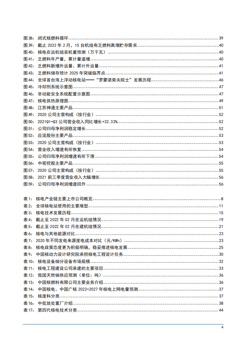 2022年核电产业链市场规模分析及行业发展趋势研究报告.pdf 第3页