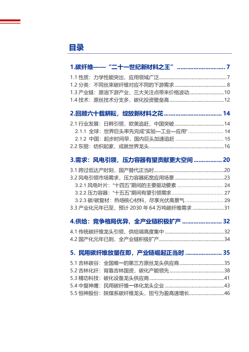 2022年民用碳纤维行业发展现状及市场供需研究报告.pdf 第1页