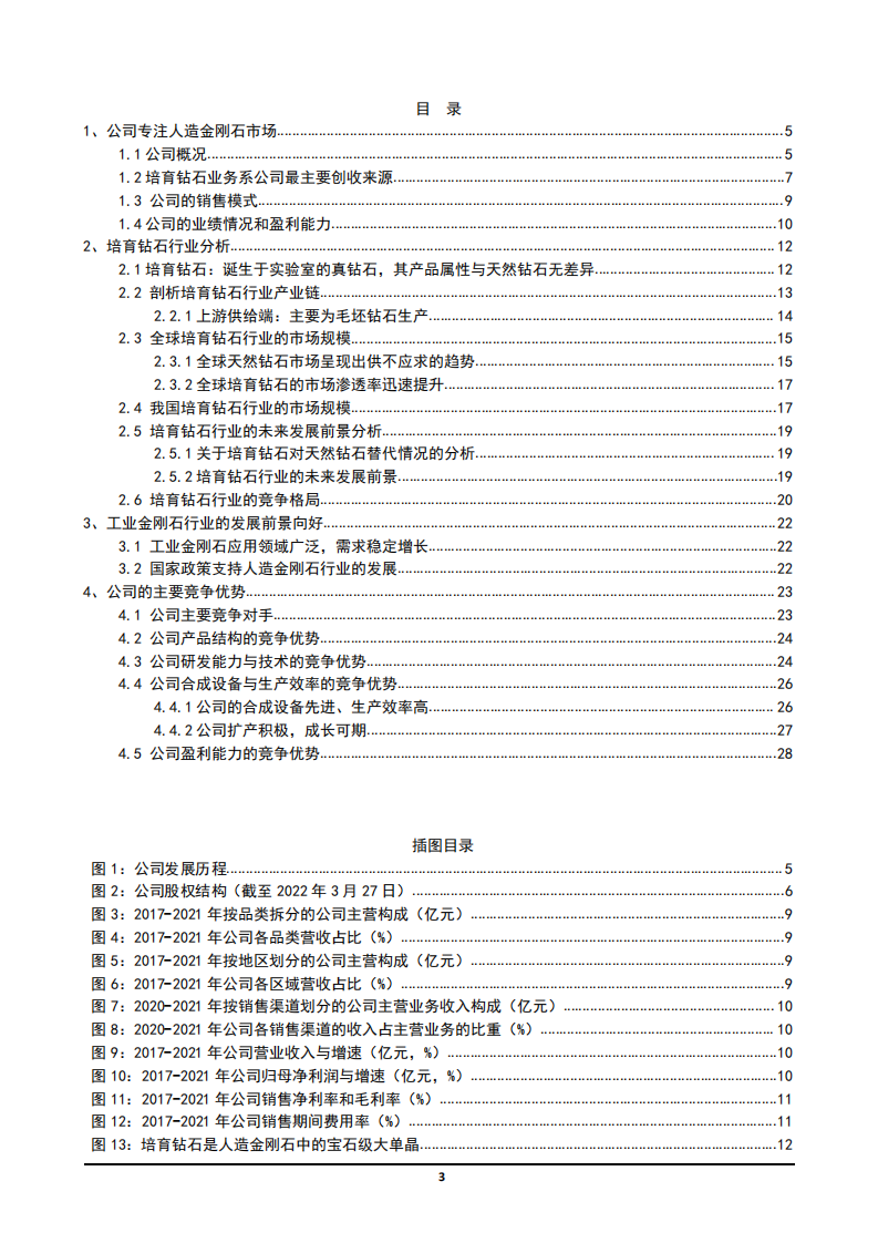 2022年培育钻石行业市场规模及与量钻石盈利能力分析报告.pdf 第1页