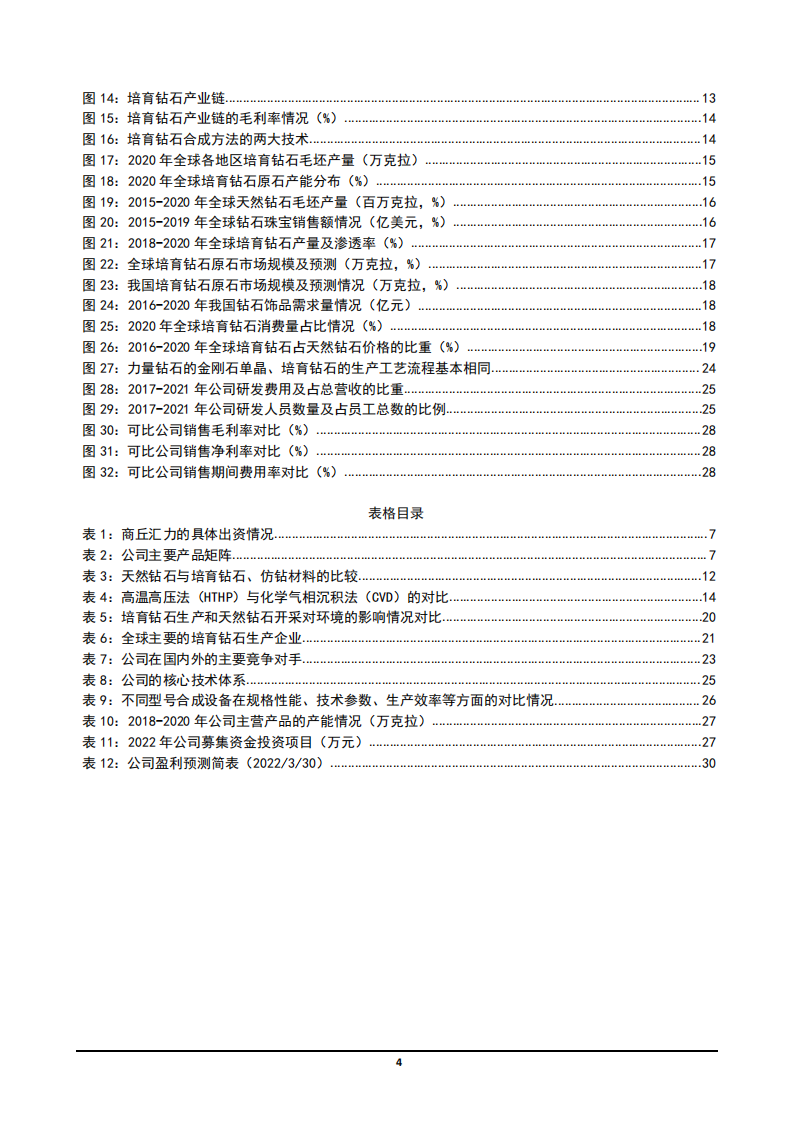 2022年培育钻石行业市场规模及与量钻石盈利能力分析报告.pdf 第2页