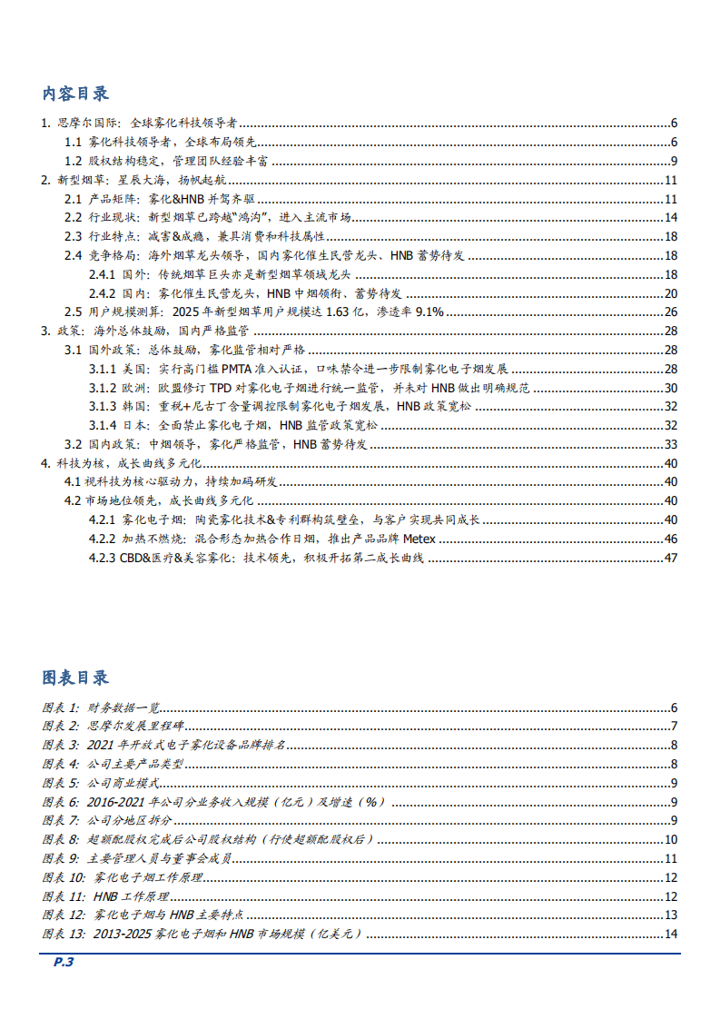 2022年新型烟草行业政策、竞争格局及思摩尔成长曲线分析报告.pdf 第1页