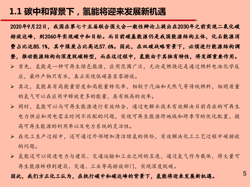 2021年氢能行业质子交换膜市场发展前景分析报告.pdf 第3页