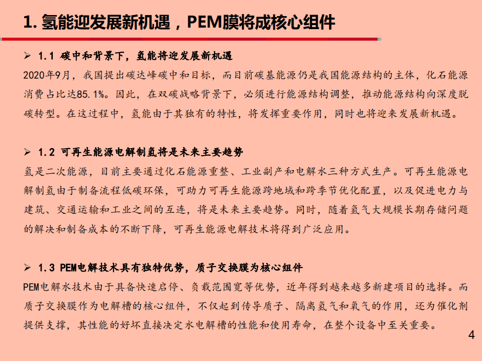 2021年氢能行业质子交换膜市场发展前景分析报告.pdf 第2页