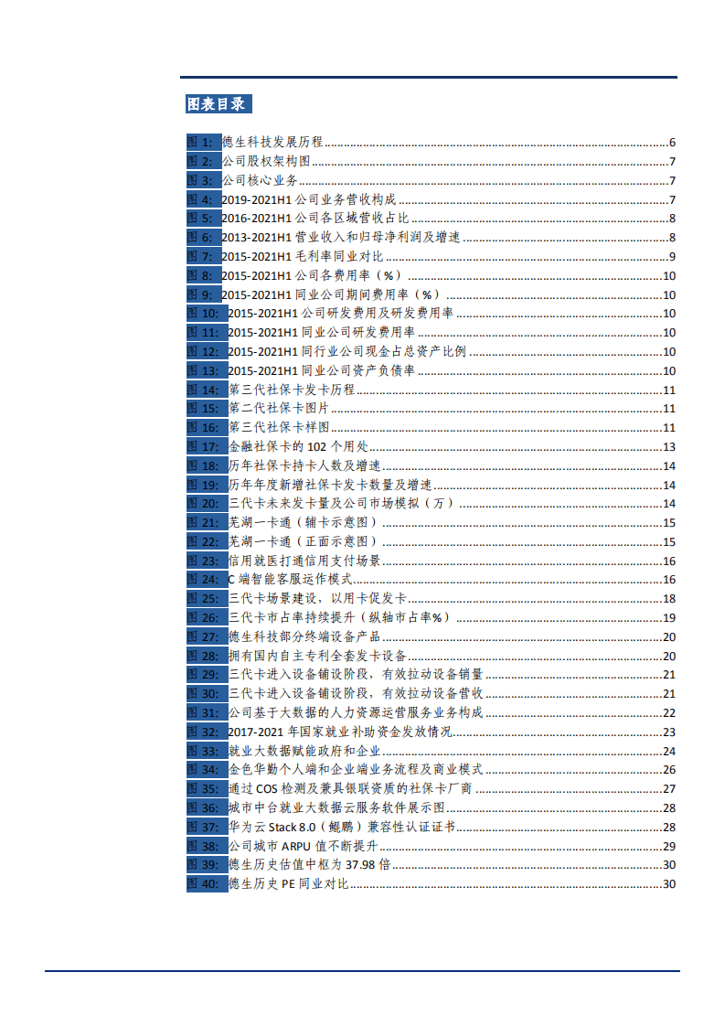 2021年人社行业国内领先民生综合服务商企业德生科技发展优势研究报告.pdf 第2页