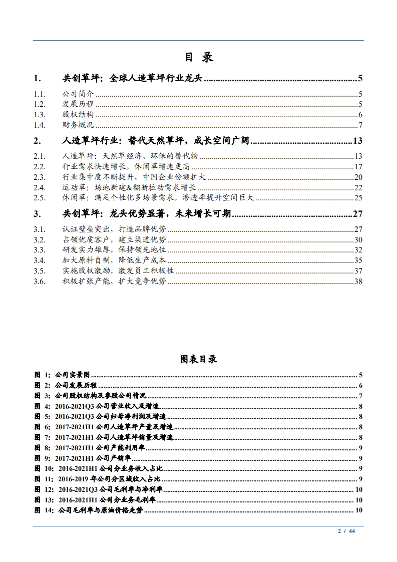 2021年人造草坪行业需求研究及龙头企业共创草坪财务分析报告.pdf 第1页