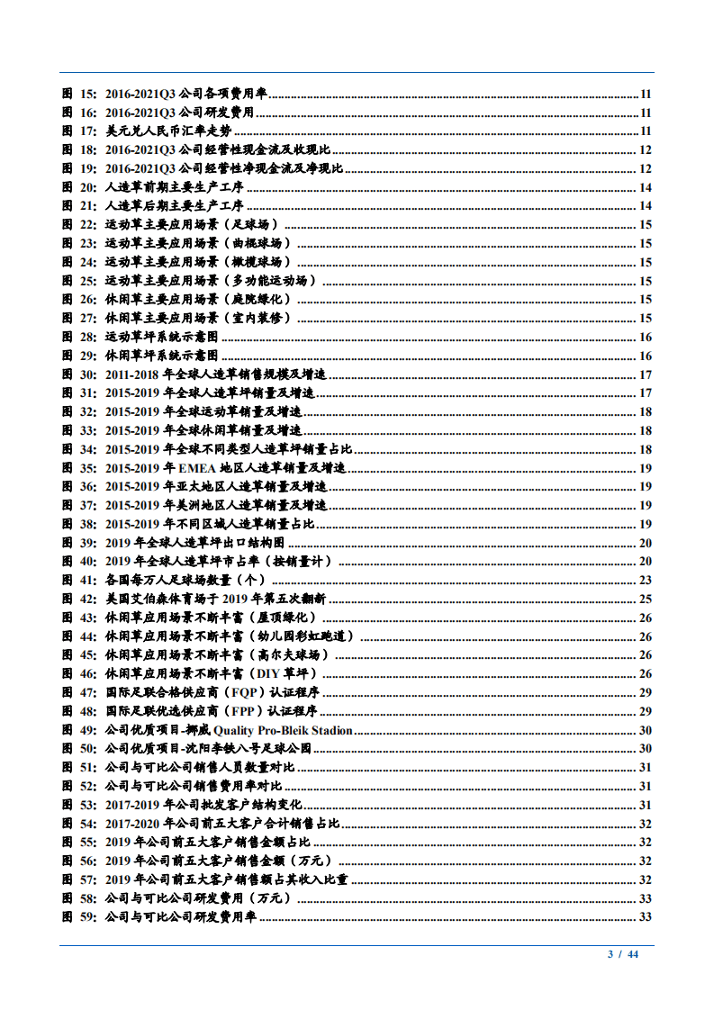 2021年人造草坪行业需求研究及龙头企业共创草坪财务分析报告.pdf 第2页