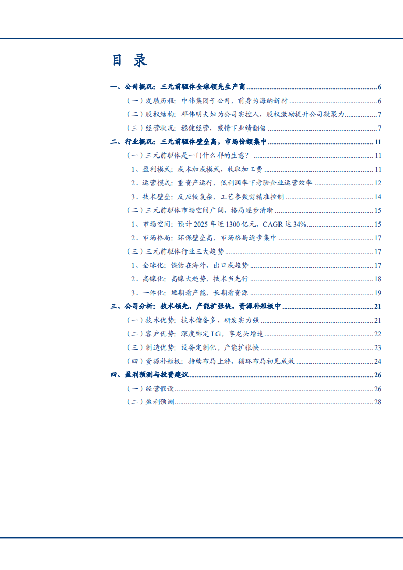 2021年三元前驱体市场空间与中伟股份产品优势分析报告.pdf 第1页