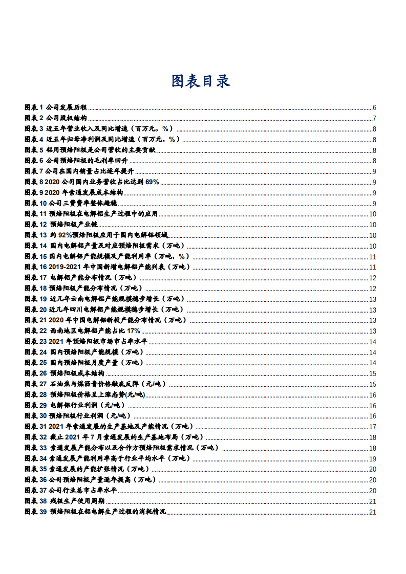 2021年索通发展公司竞争优势与预焙阳极行业供需结构分析报告.pdf 第2页