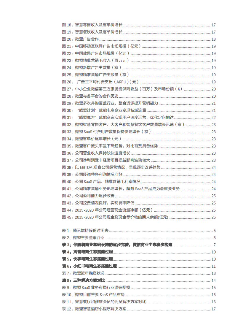 2021年微盟集团精准营销战略与SaaS行业研究报告.pdf 第2页