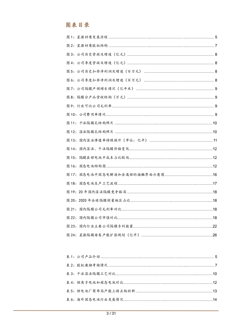2021年星源材质公司竞争优势与中国隔膜市场格局分析报告.pdf 第2页