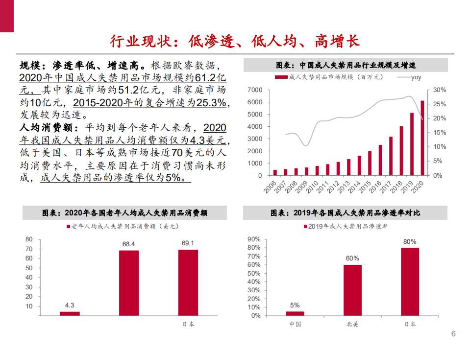 2021年中国成人失禁用品行业竞争格局与发展前景分析报告.pdf 第4页