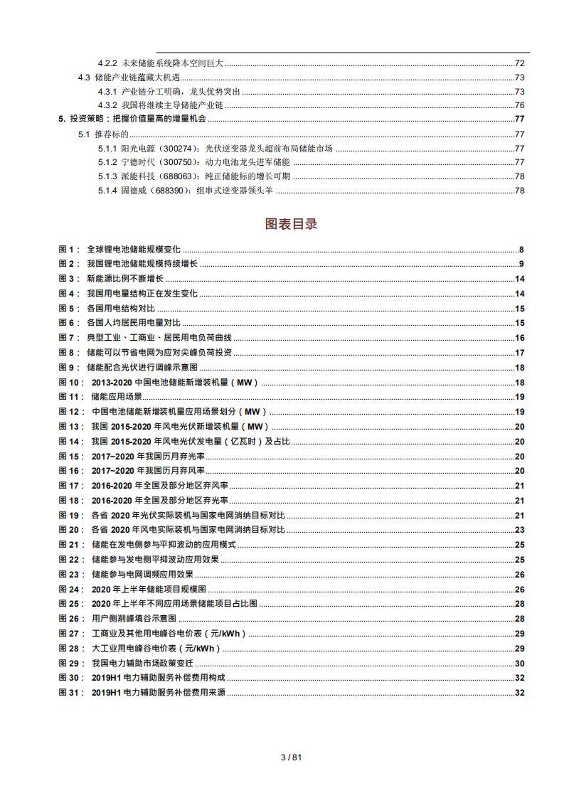 2021年中国储能行业供需及海外发展趋势分析报告.pdf 第2页