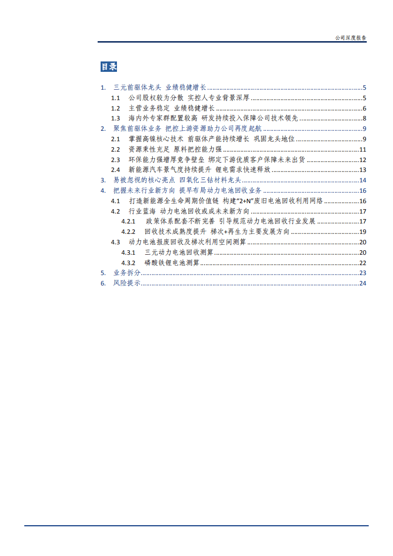 2021年格林美公司公司三元前驱体业务与动力电池回收行业研究报告.pdf 第1页