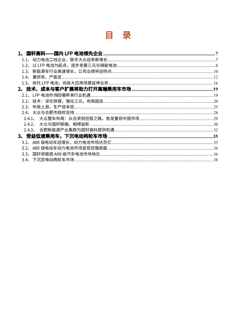 2021年国轩高科公司盈利能力与LFP电池市场研究报告.pdf 第1页