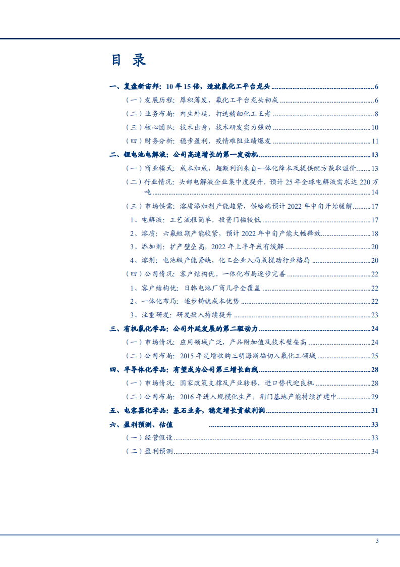 2021年锂电池电解液行业现状及头部企业新宙邦商业模式财务分析报告.pdf 第1页