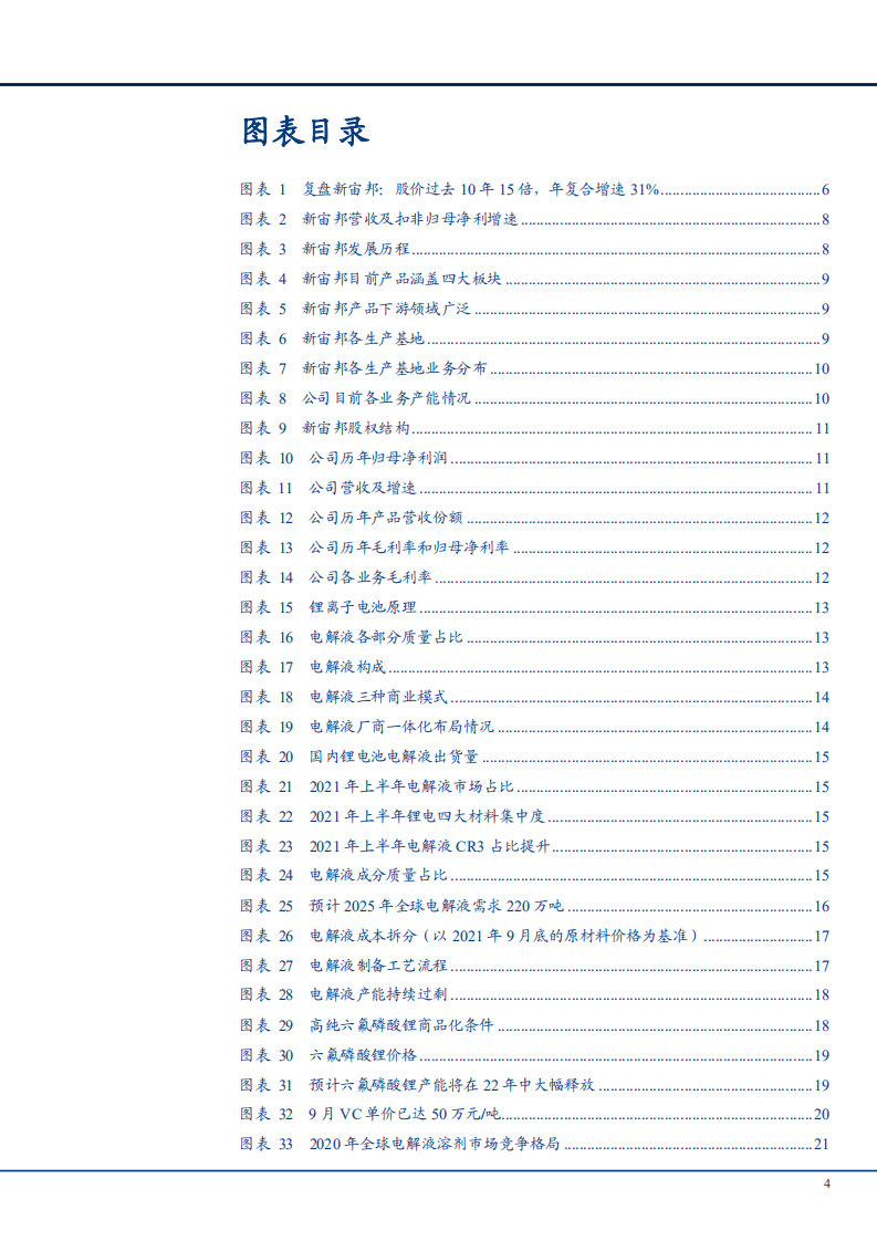 2021年锂电池电解液行业现状及头部企业新宙邦商业模式财务分析报告.pdf 第2页