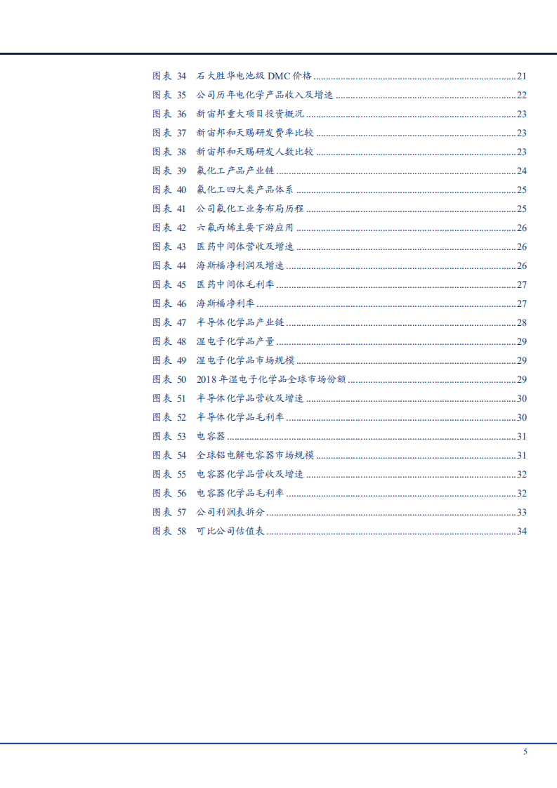 2021年锂电池电解液行业现状及头部企业新宙邦商业模式财务分析报告.pdf 第3页