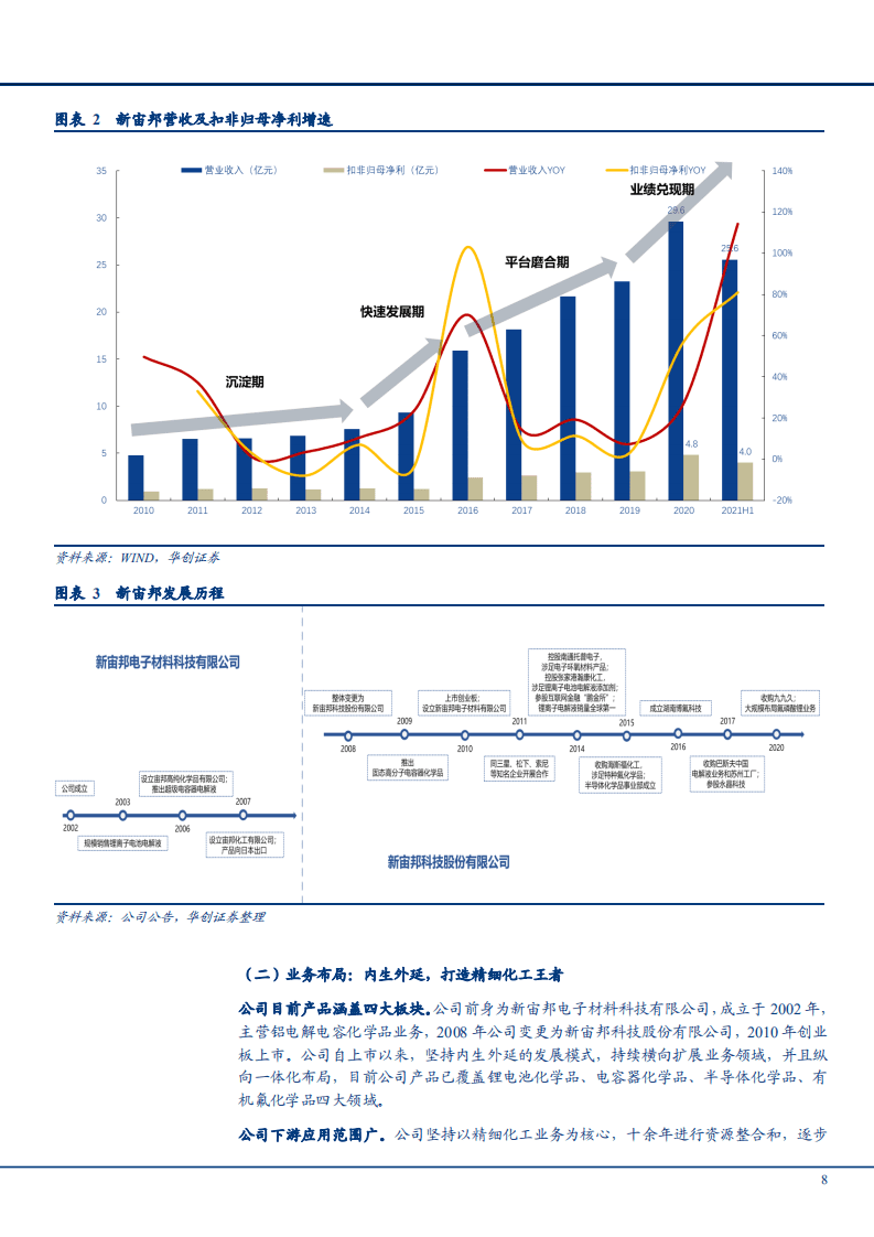 2021年锂电池电解液行业现状及头部企业新宙邦商业模式财务分析报告.pdf 第6页