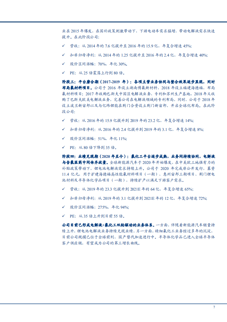 2021年锂电池电解液行业现状及头部企业新宙邦商业模式财务分析报告.pdf 第5页