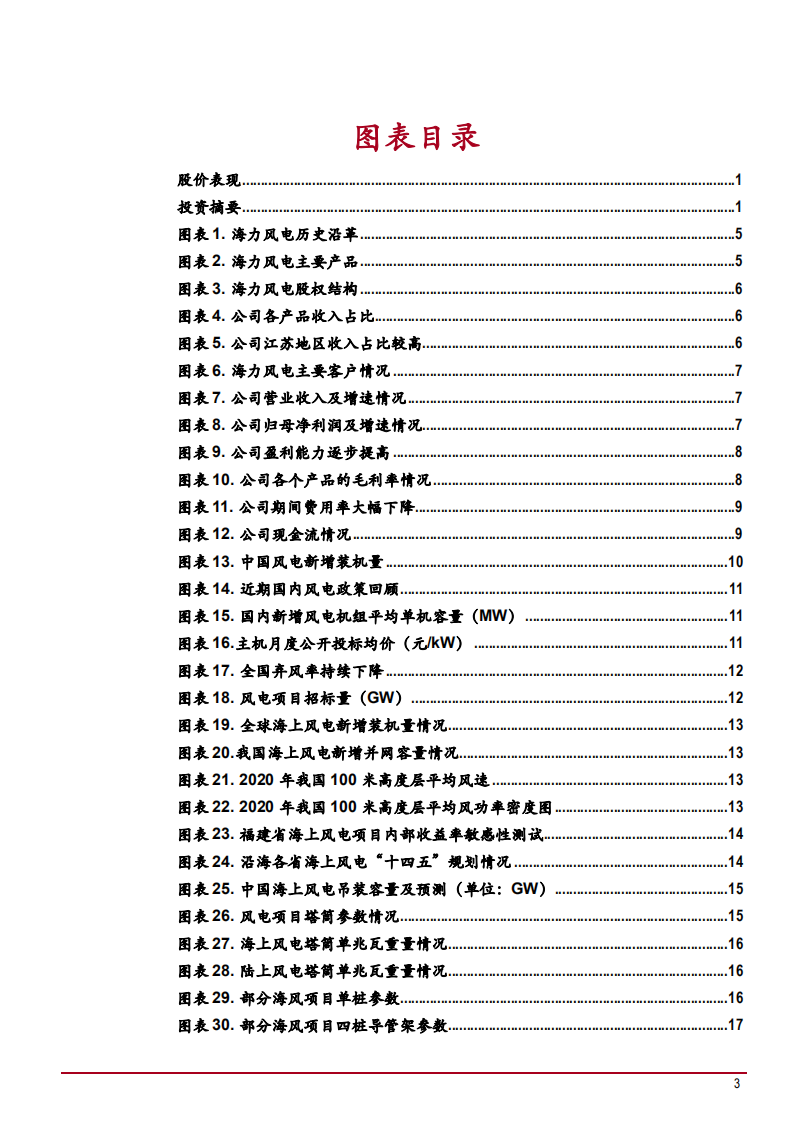 2022年塔筒桩基行业市场需求机遇及海力风电竞争优势分析报告.pdf 第2页