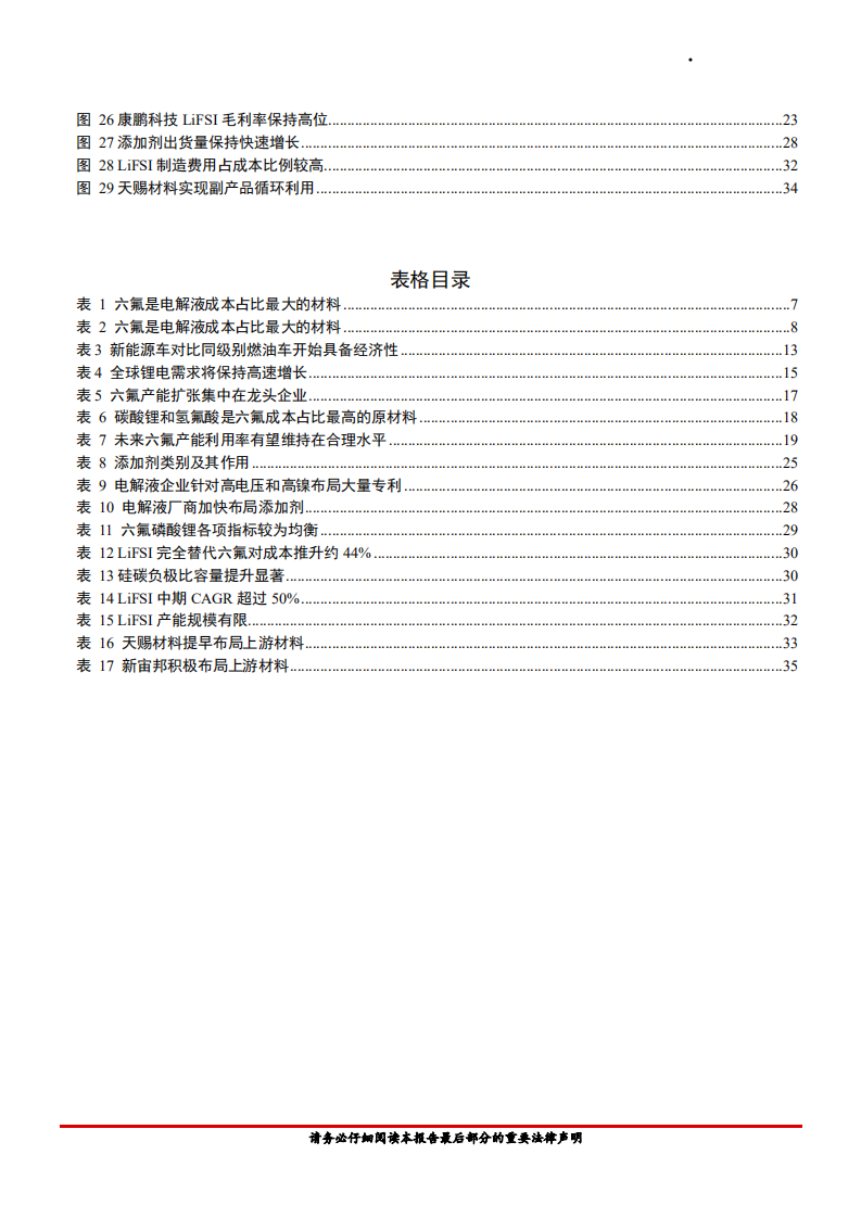 2021年电气设备行业电解液格局与原材料布局分析报告.pdf 第2页