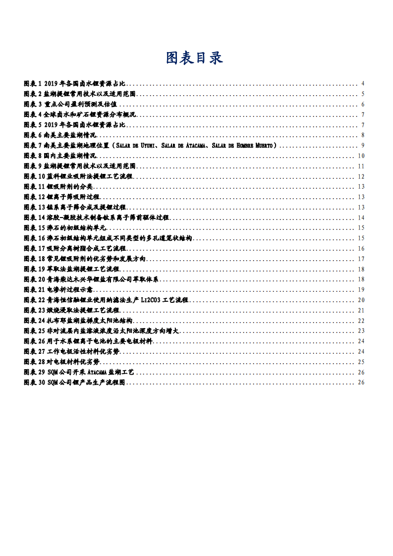 2021年电气设备行业盐湖提锂资源和成本优势分析报告.pdf 第2页