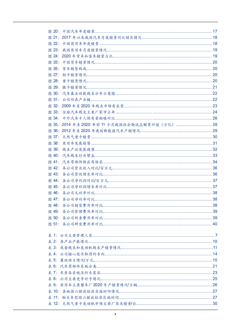 2021年汽车线束行业趋势市场需求规模研究及大地电气财务分析报告.pdf 第2页