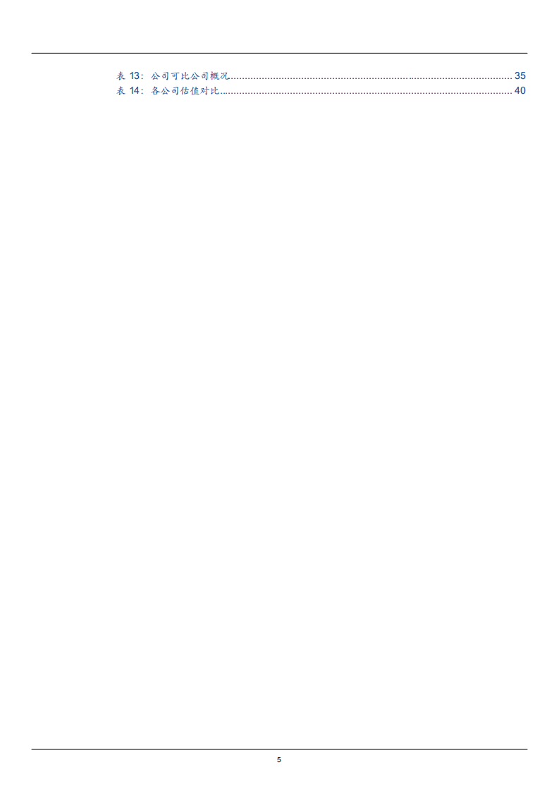 2021年汽车线束行业趋势市场需求规模研究及大地电气财务分析报告.pdf 第3页