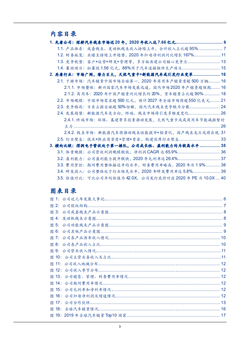 2021年汽车线束行业趋势市场需求规模研究及大地电气财务分析报告.pdf 第1页