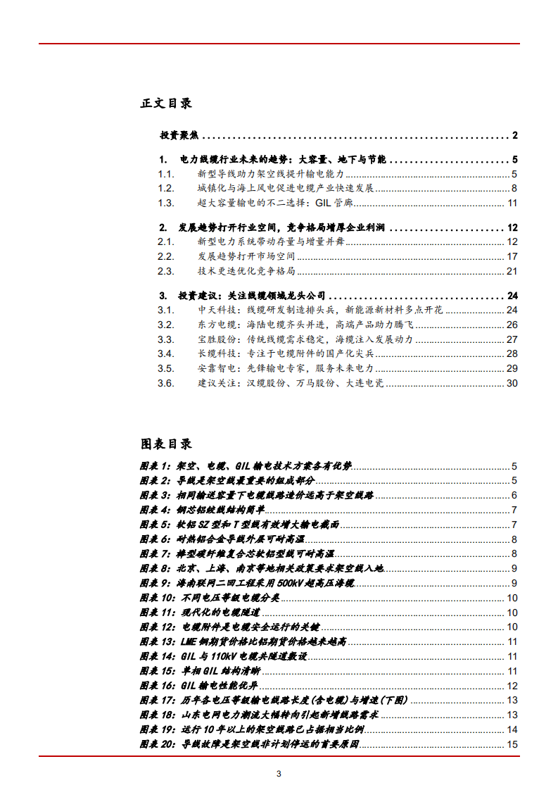 2022年电力线缆行业未来发展趋势与市场竞争格局分析报告.pdf 第1页