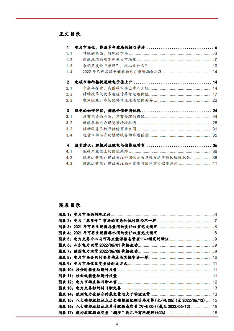 2022年中国电力行业绿电储能市场机遇及商业空间分析报告.pdf 第1页