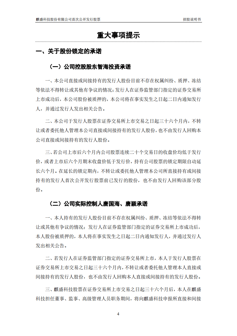 麒盛科技股份有限公司招股说明书.pdf 第5页