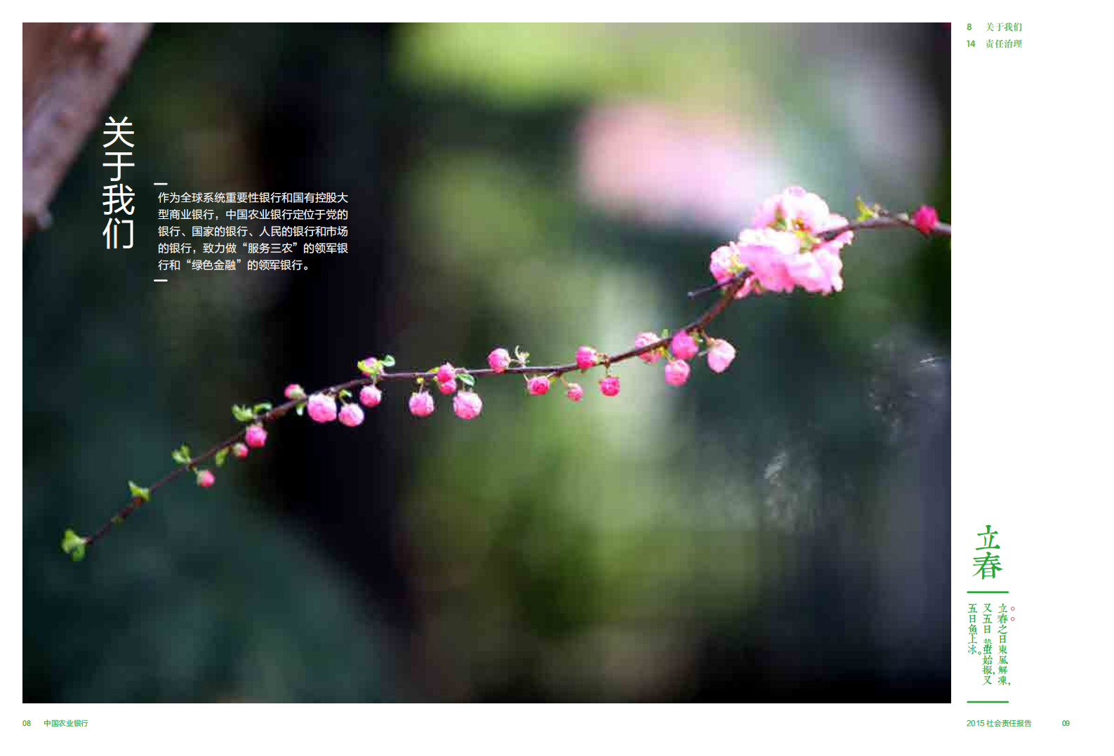 中国农业银行2015年度社会责任报告.PDF 第6页