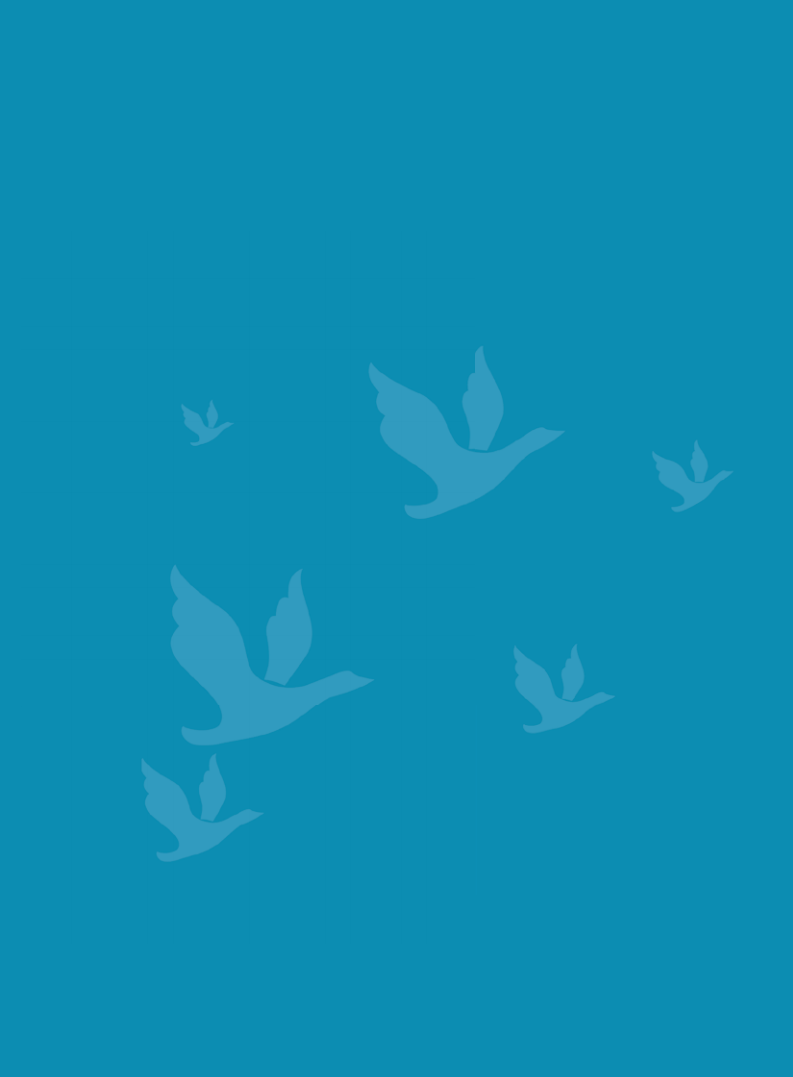 中国中铁：2009年ESG社会责任报告.pdf 第6页