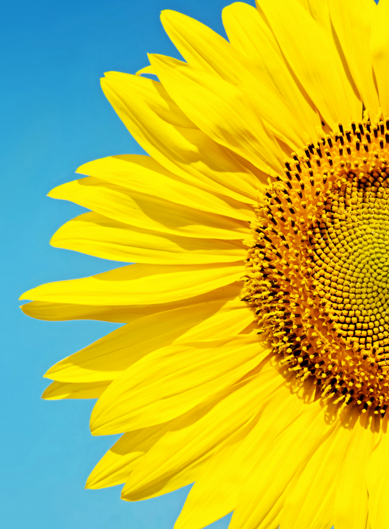 上海汽车集团股份有限公司2018年度社会责任报告.pdf 第4页