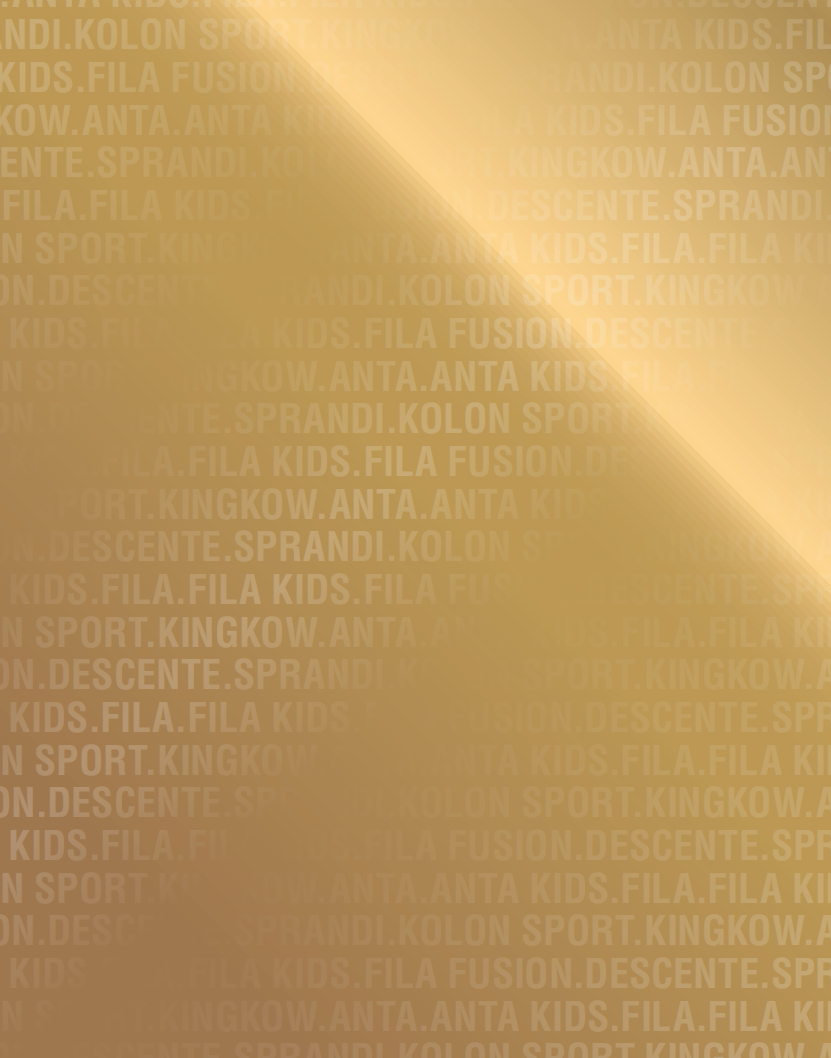 安踏体育用品有限公司2019年年度报告.pdf 第2页