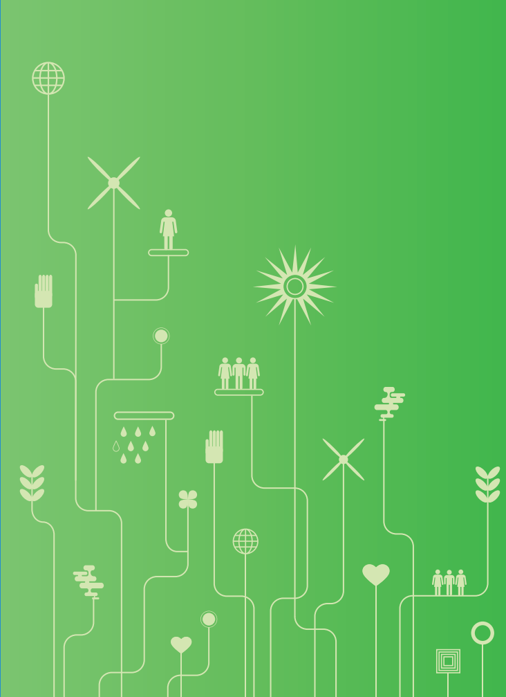 百事公司(PEPSICO)2009年年度报告-财报（英文版）.pdf 第2页