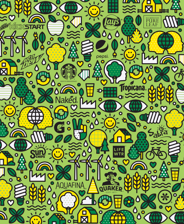 百事公司(PEPSICO)2016年年度报告-财报（英文版）.pdf 第2页