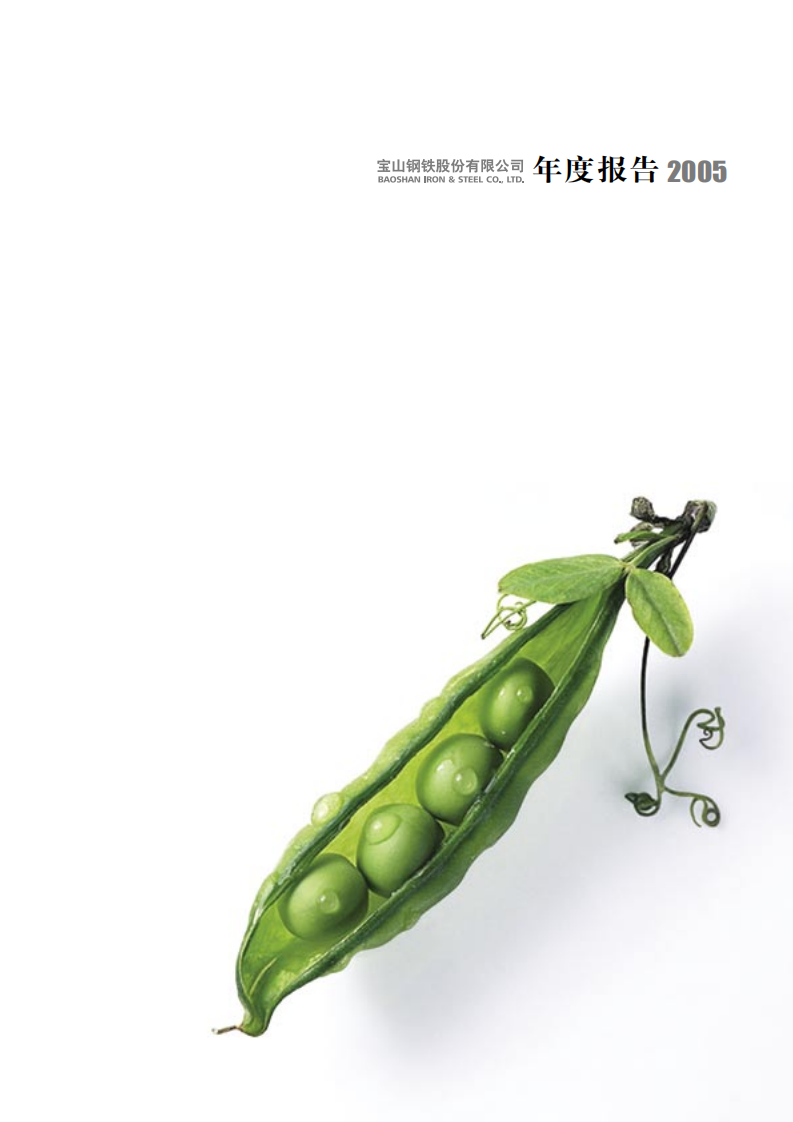 宝山钢铁股份有限公司2005年年度报告.pdf 第1页