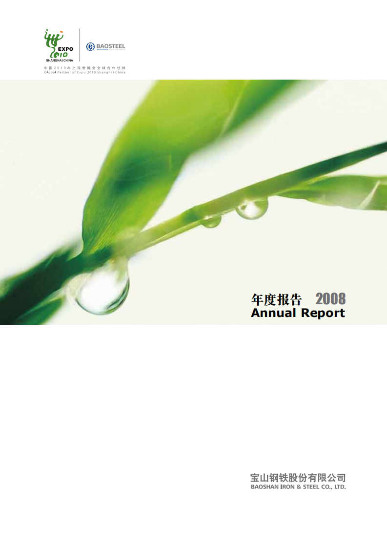 宝山钢铁股份有限公司2008年年度报告.pdf 第1页