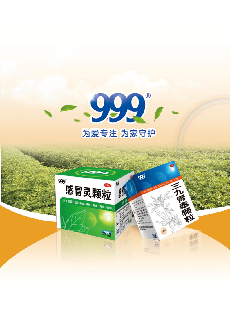 华润三九医药股份有限公司2016年年度报告.PDF 第2页