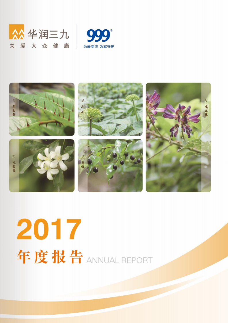 华润三九医药股份有限公司2017年年度报告.PDF 第1页