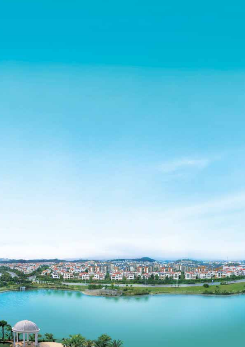 碧桂园控股有限公司2008年年度报告.pdf 第2页