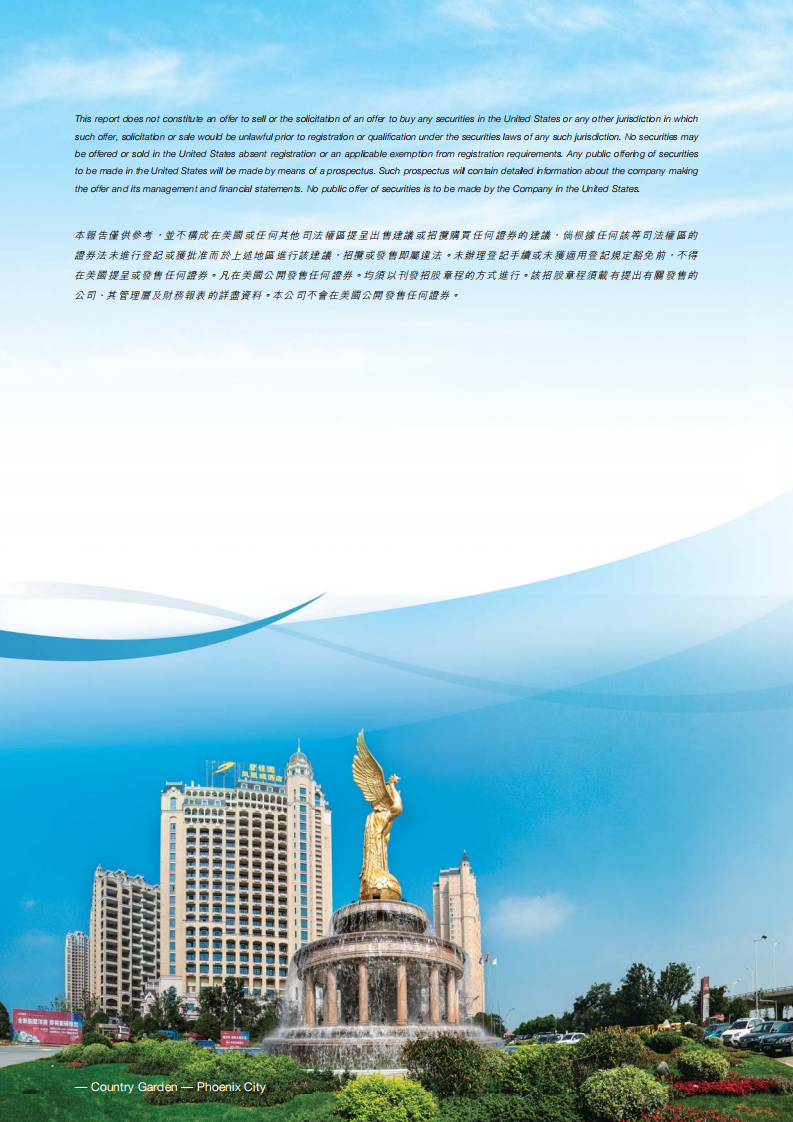 碧桂园控股有限公司2013年年度报告.pdf 第2页