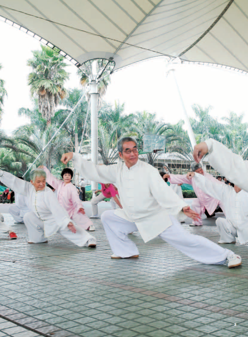 碧桂园控股有限公司2014年年度报告.pdf 第5页