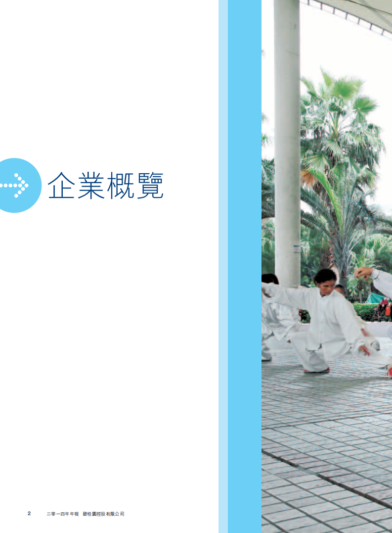 碧桂园控股有限公司2014年年度报告.pdf 第4页